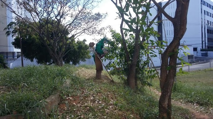 Subprefeito esclarece ações em andamento no Morro das Vivendas