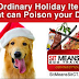 Dog Training - Bad Foods For Dogs