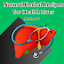 Natural Herbal Recipes for Health Liver Tinospora cordifolia - Method 3