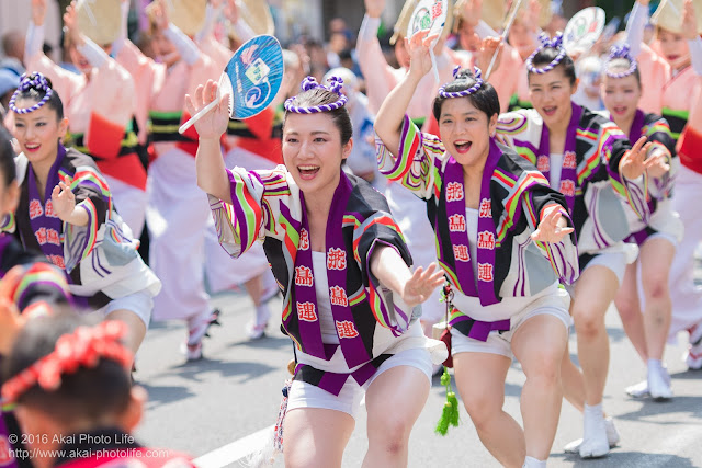 飛鳥連、女法被、マロニエ祭りの写真 その5