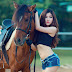 Horses HD Desktop Wallpapers Free Download