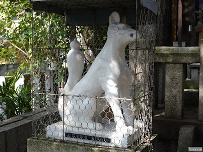 白山神社光徳稲荷神社白狐