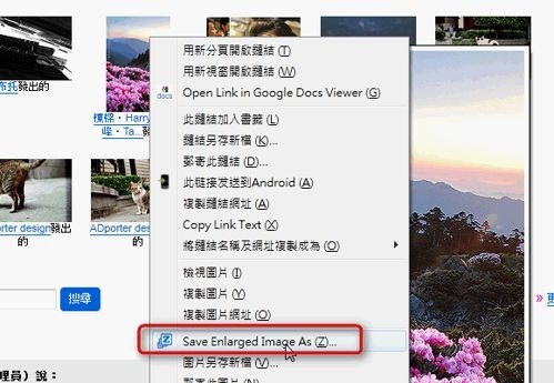 Thumbnail Hover Zoom-10
