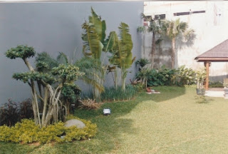 Galeri Taman - Tukang Taman Surabaya 90