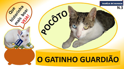 Imagem com a gata Maria Atena apresentando a história de Pocôto: o gatinho guardião.