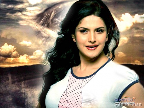 Zarine Khan Cute Smile Wallpapers : Zarine Khan Wiki Pics