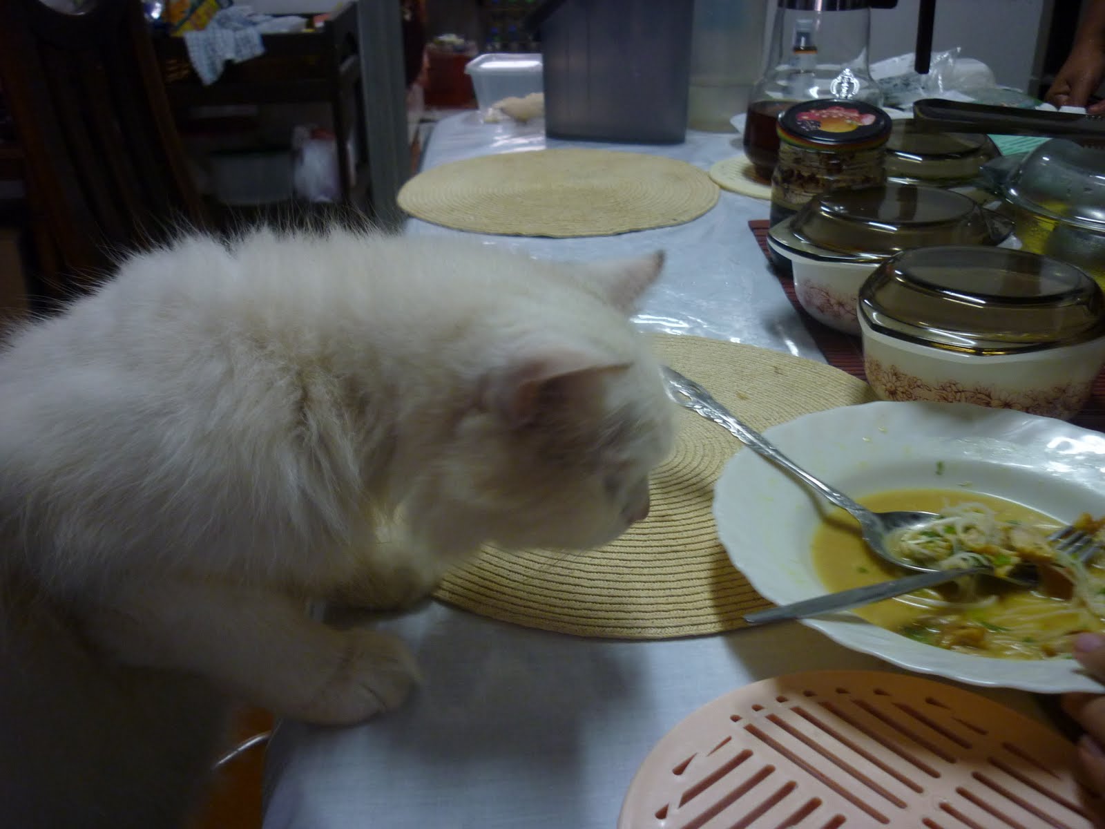 As always, a copycat: SOTO MADURA
