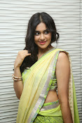 Adah sharma glam pics in saree-thumbnail-21