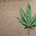 Delaware Governor Signs Bill Decriminalizing Marijuana Use
