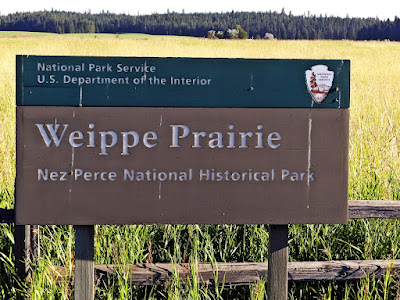 Weippe Prairie