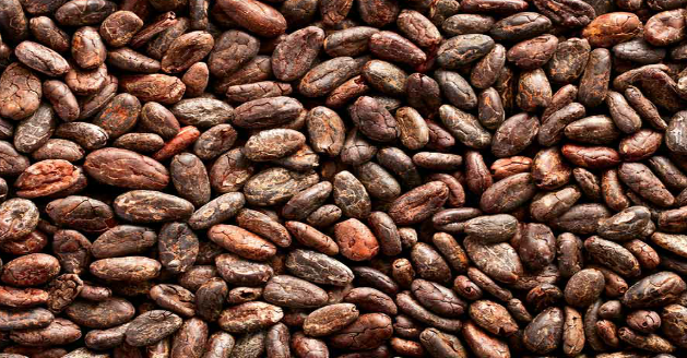 How many cocoa beans does it take to make one pound of chocolate?