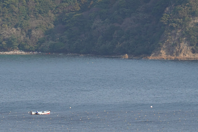 島根県松江市美保関町七類