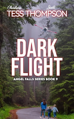 Cover of dark Flight a plane above a forest