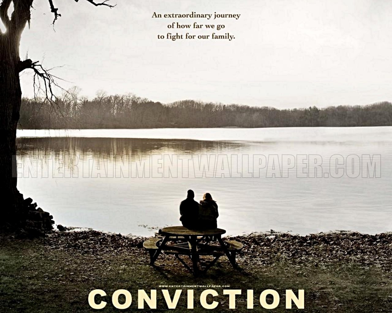 2010 Conviction