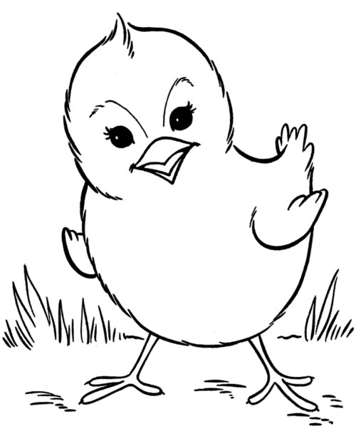 Baby Farm Animals Coloring Pages For Kids
