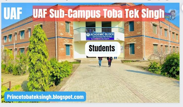 UAF Sub-Campus Toba Tek Singh