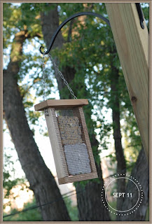 cedar bird feeder plans