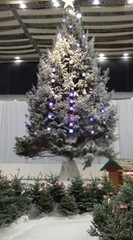 LargestIndoorChristmasTree_web_sml