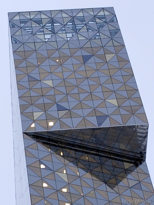 _DSC0518vt