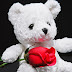 White cutie Teddy with lovely red rose"Facebook Profile Picture for girls"