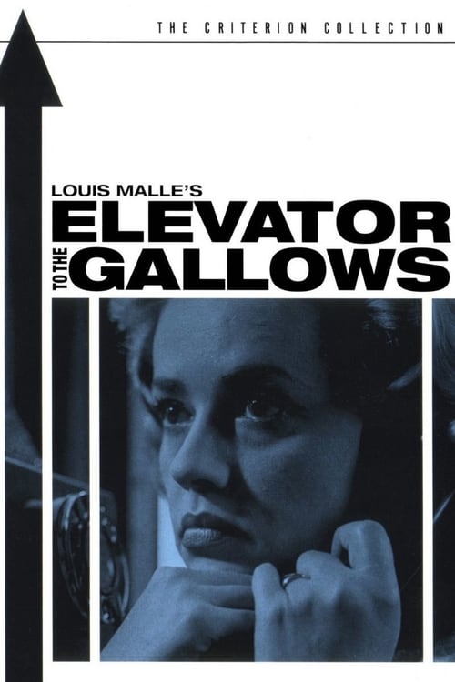 [HD] Ascensor para o Cadafalso 1958 Assistir Online Legendado
