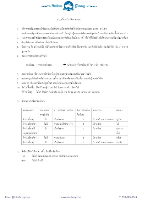 สรุปวิทยาศาสตร์ ป.6 100 ข้อ