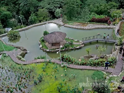 BenCab Museum Farm and Garden top view