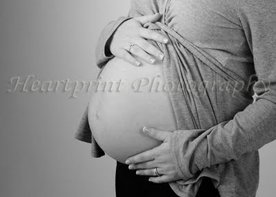 Maternity Photography Studios on Event    Portrait Photography Of Connecticut  Pregnancy  Maternity