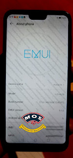 Honor 9i LLD-AL30 Convert to Global Google Services Proof 4