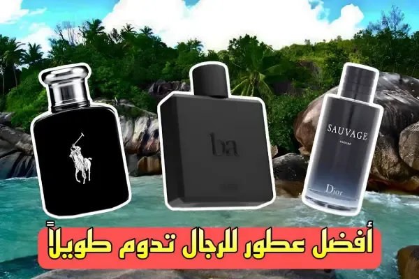 أفضل 5 عطور للرجال تدوم طويلاً