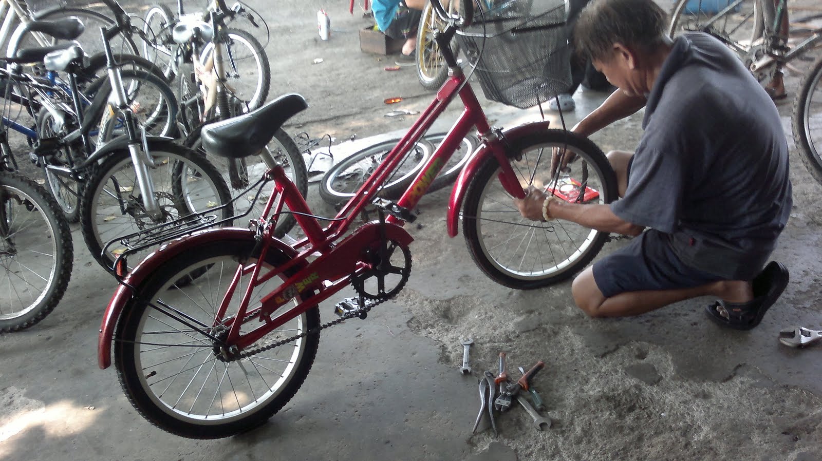 Otot Basikal