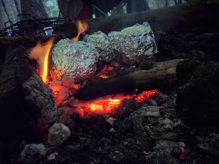 bush craft fire cooking