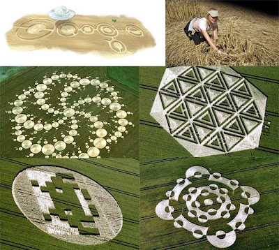 crop circle pictures