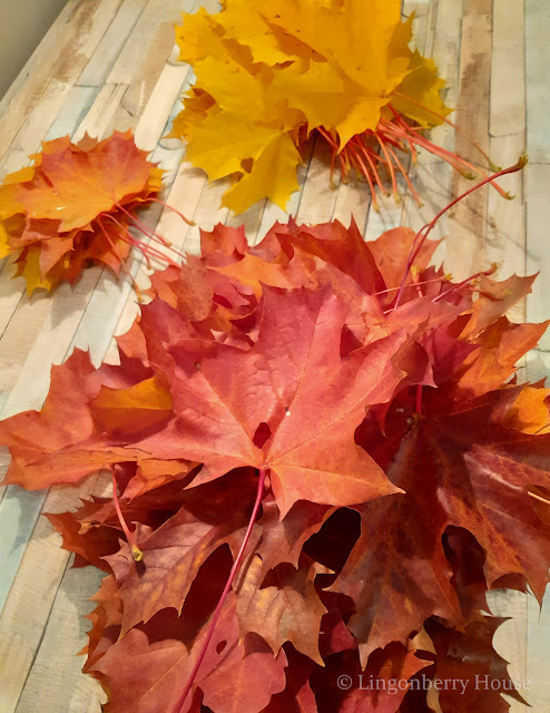 lingonberryhouse, DIY, tee itse, vaahteranruusukimppu, maple tree leaves, bouquet