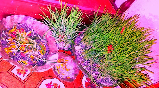 Dashain Festival in Nepal
