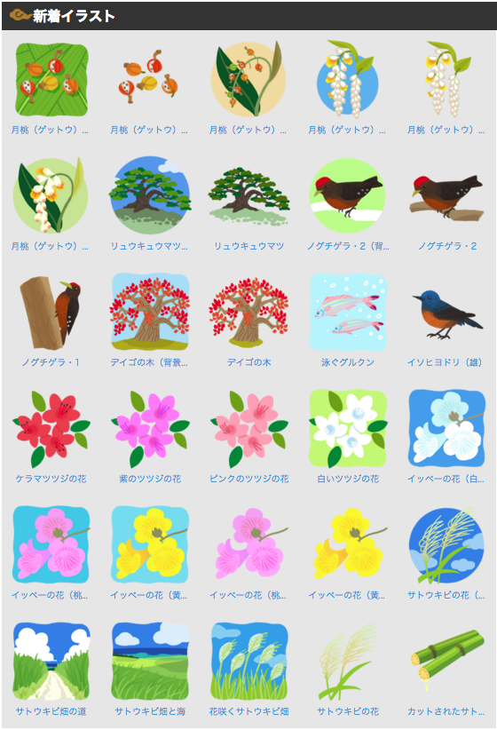 てくてくチンナン日記 イラスト沖縄 リュウキュウマツ ノグチゲラetc 追加