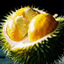 Manfaat Durian Bagi Kesehatan | Khasiat Alam