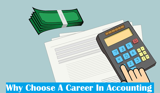 Why Choose A Career In Accounting