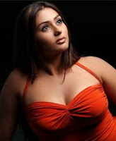 Namitha in sexy dress imgae