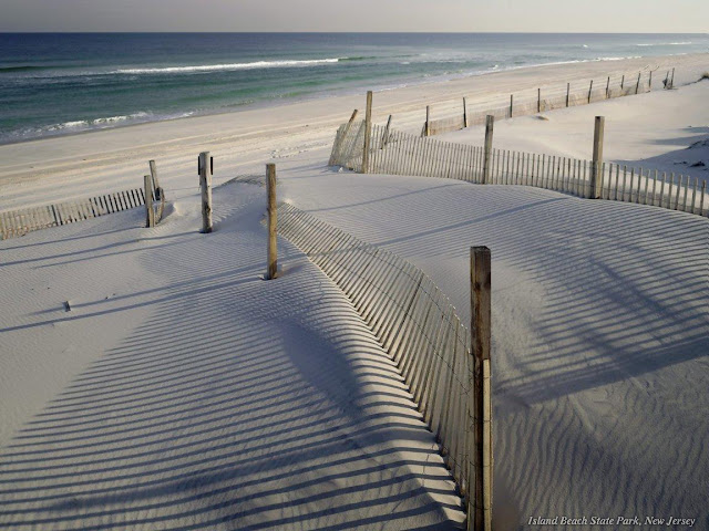 beach sand waves serene