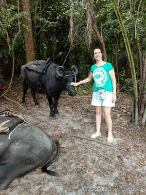 Ilha de Marajó dicas