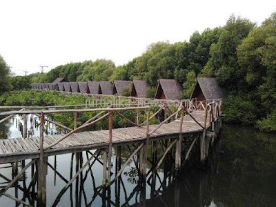 Taman Wisata Alam Mangrove PIK Angke Kapuk Jakarta Utara