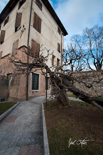 Bassano del grappa - italya - seyahat gezi 