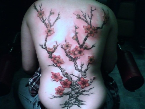 tattoos on hip bones. bird tattoos on hip samoan tattoo song tattoos on hip bones. bird tattoos on hip samoan tattoo song