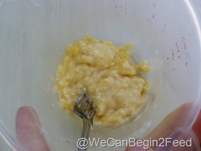 Aug 17 frozen protein bites 001