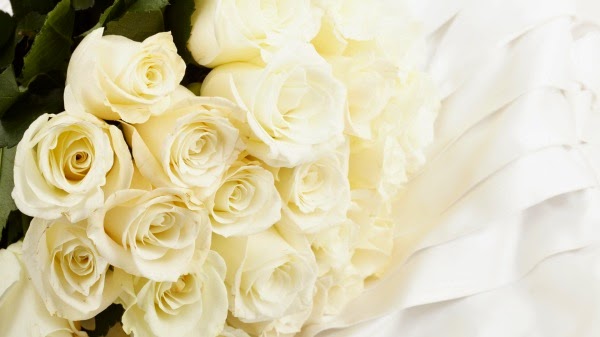 Mawar Putih | Gambar Bunga | White Rose Wallpaper