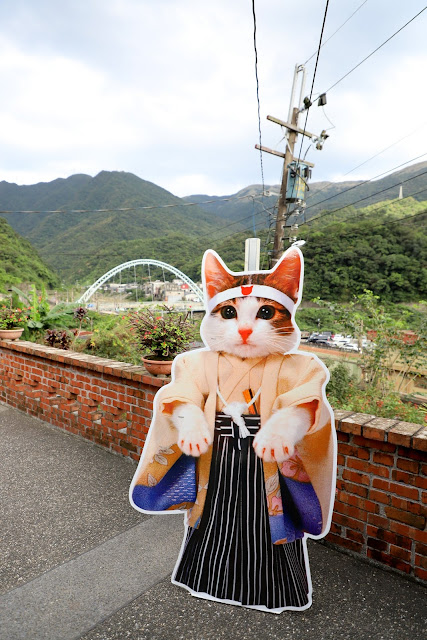 新北景點 猴硐貓村