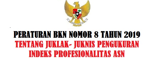   Peraturan BKN Nomor 8 Tahun 2019 Tentang Juklak- Juknis Pengukuran Indeks Profesionalitas ASN 