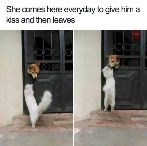 She comes here everyday to give him a kiss and then leaves