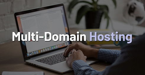 Multi Domain Hosting